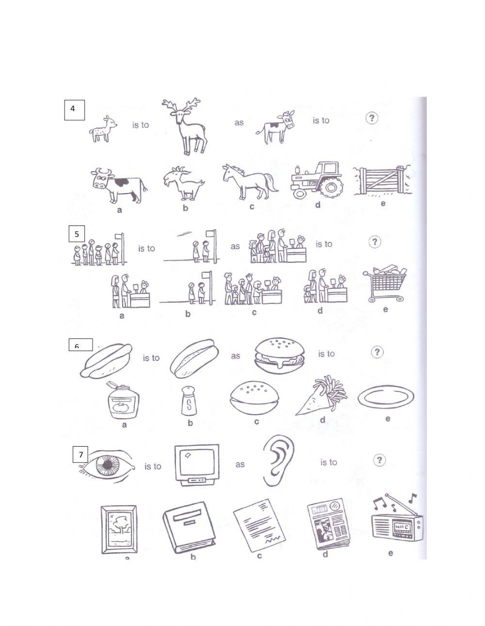 Non-Verbal Reasoning