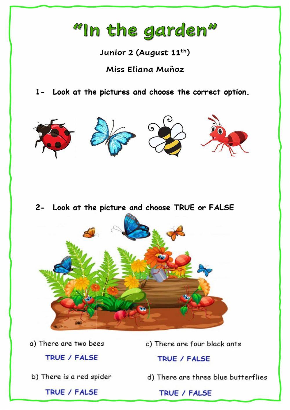 In the garden (Junior 2)