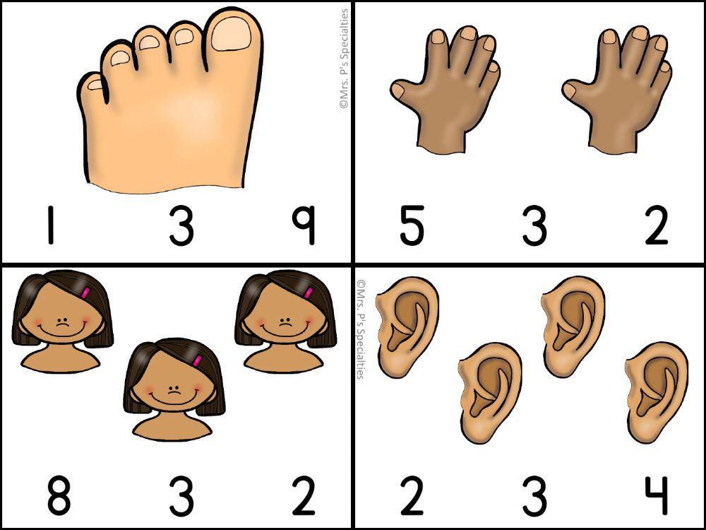 Body Parts Counting 1238 jjordan Live Worksheets