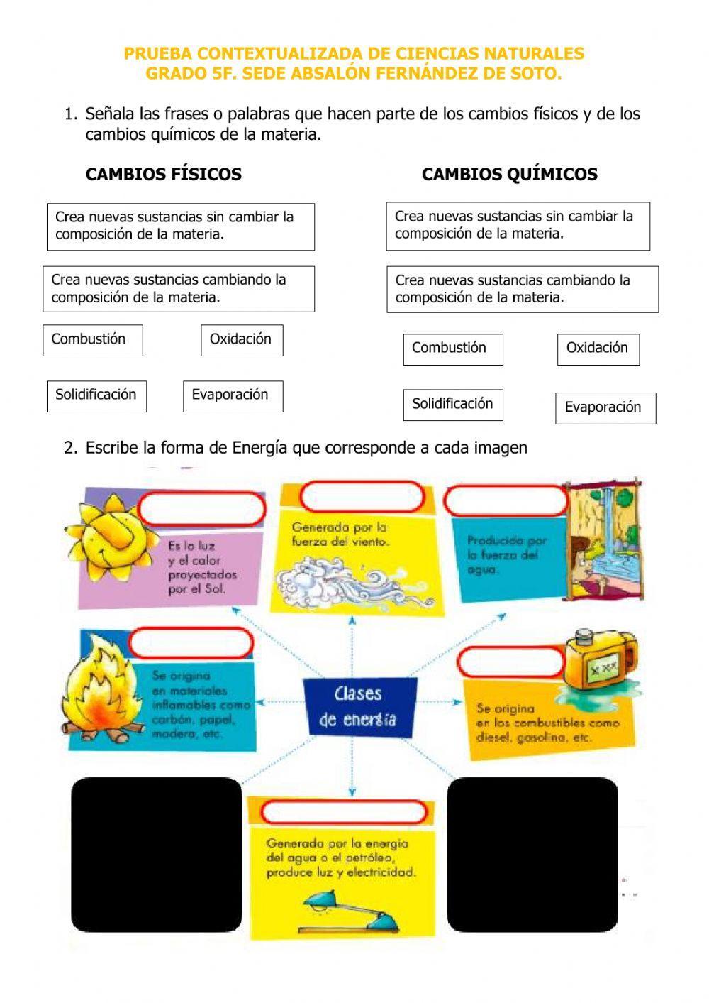 PRUEBA CONTEXTUALIZADA CIENCIAS NATURALES