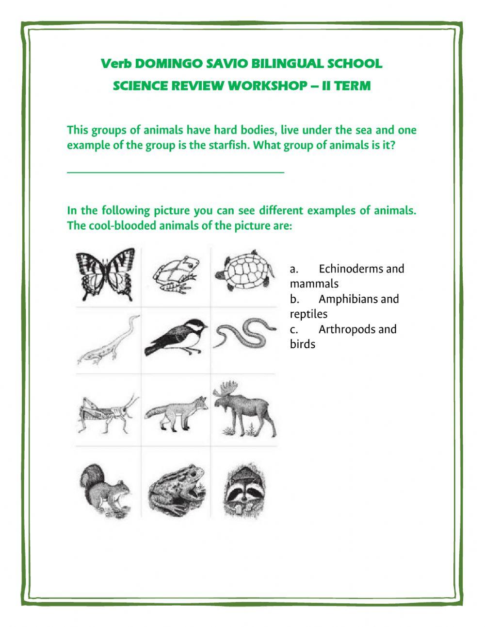 Science workshop ii term