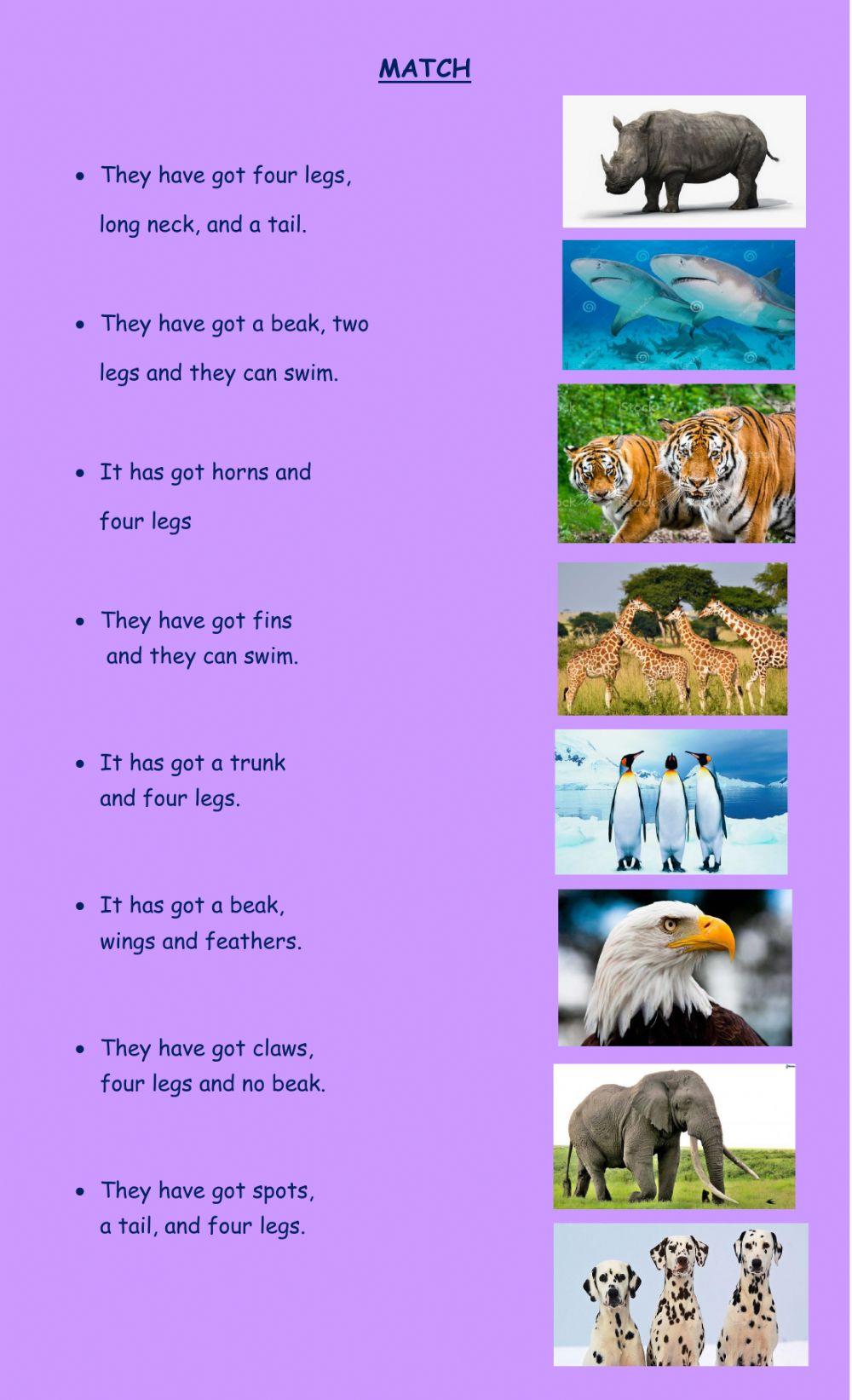 Parts of the animal body