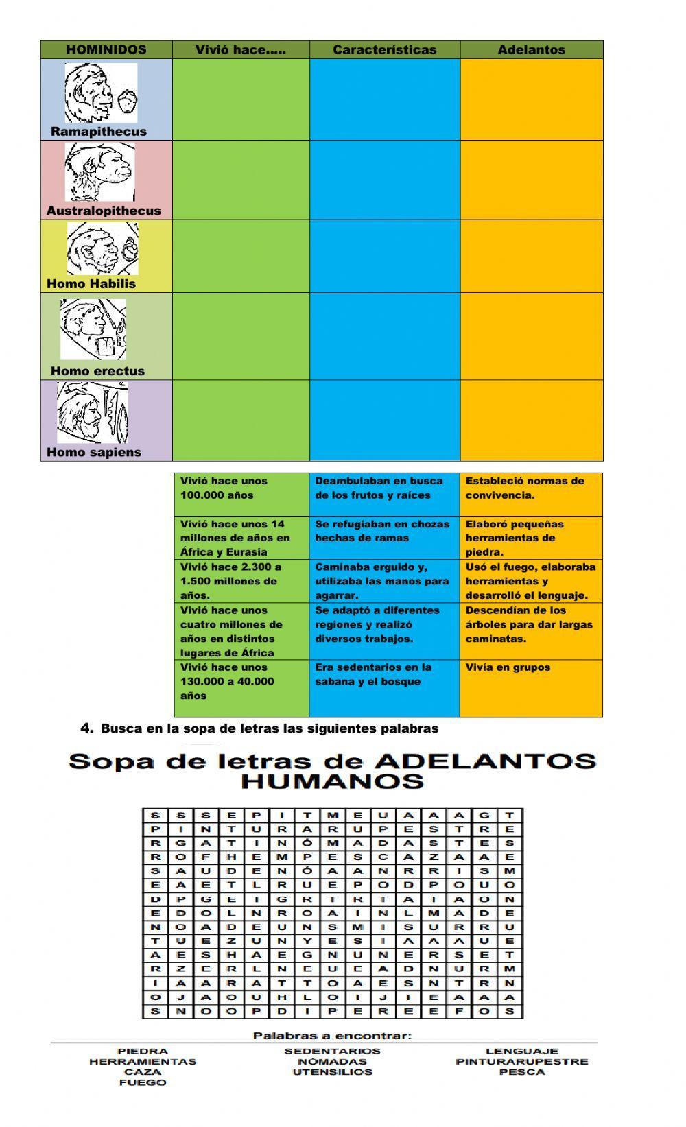 Eras geologicas