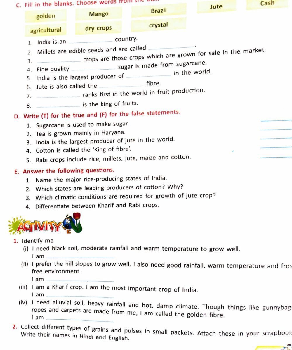 S.St worksheet- Agriculture of India