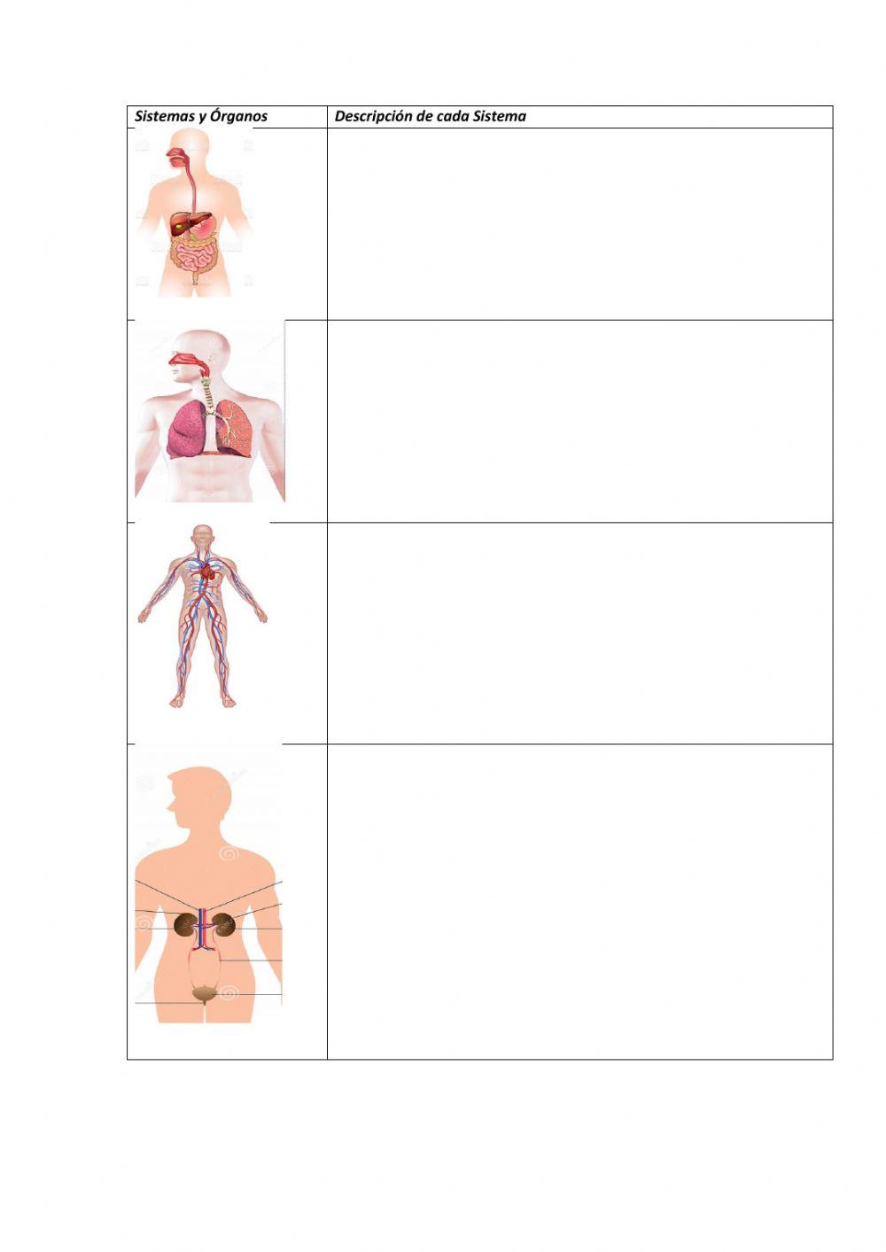 Sistemas y órganos de la nutrición