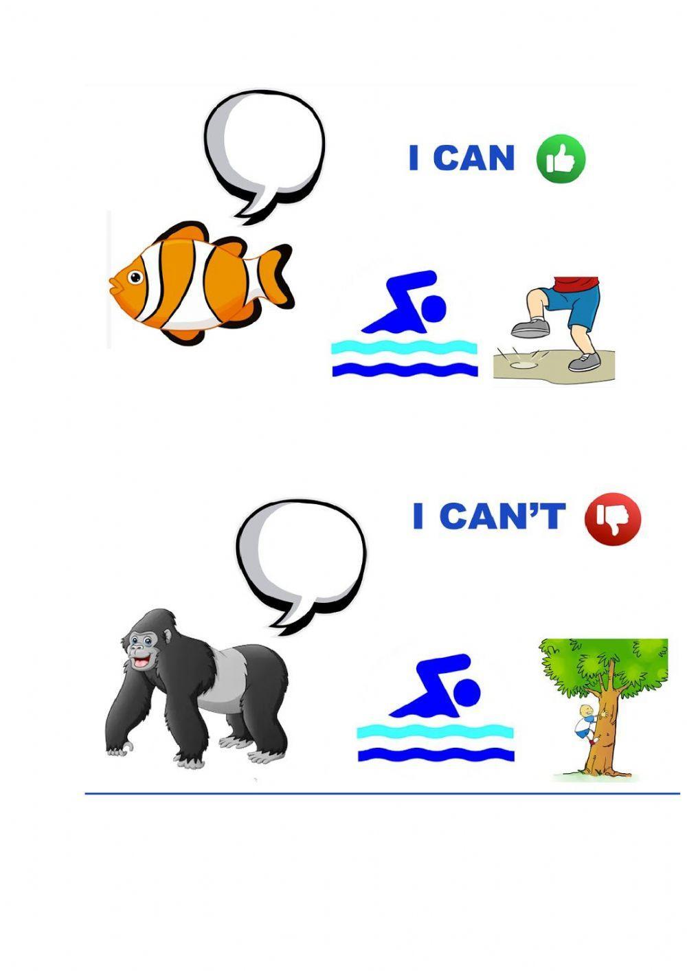 Animals - can - can't