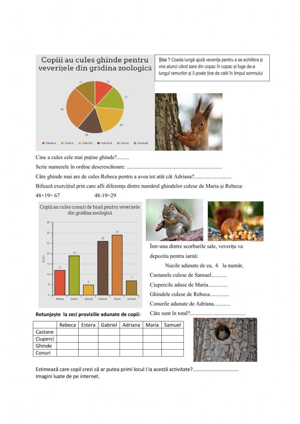 GRAFICE-Hrana veverițelor
