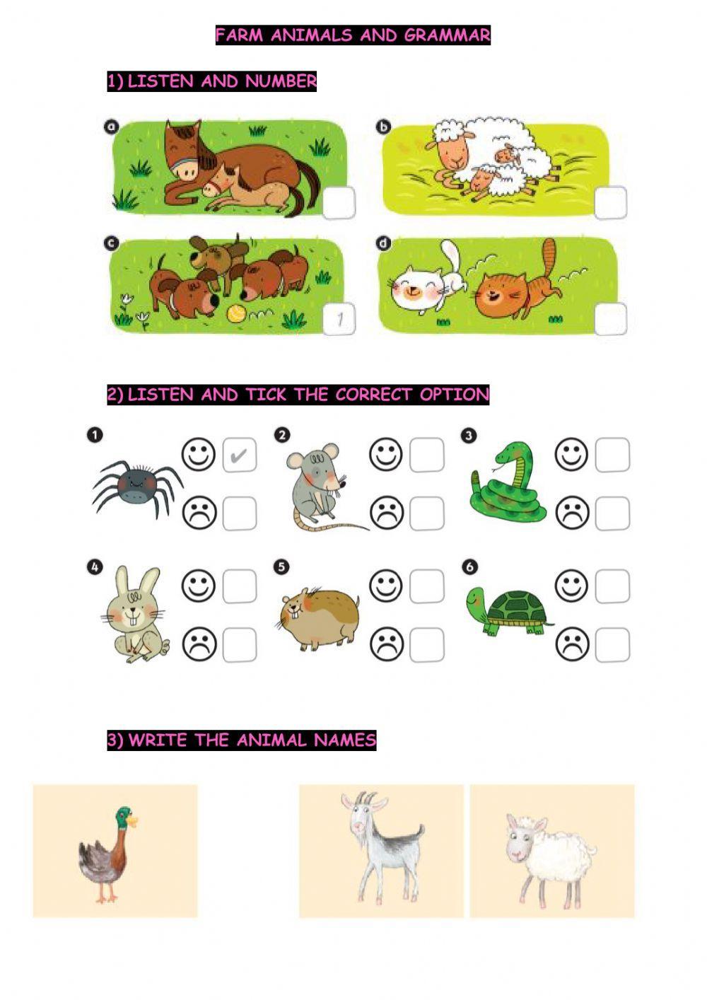 Animals -  Can-can't