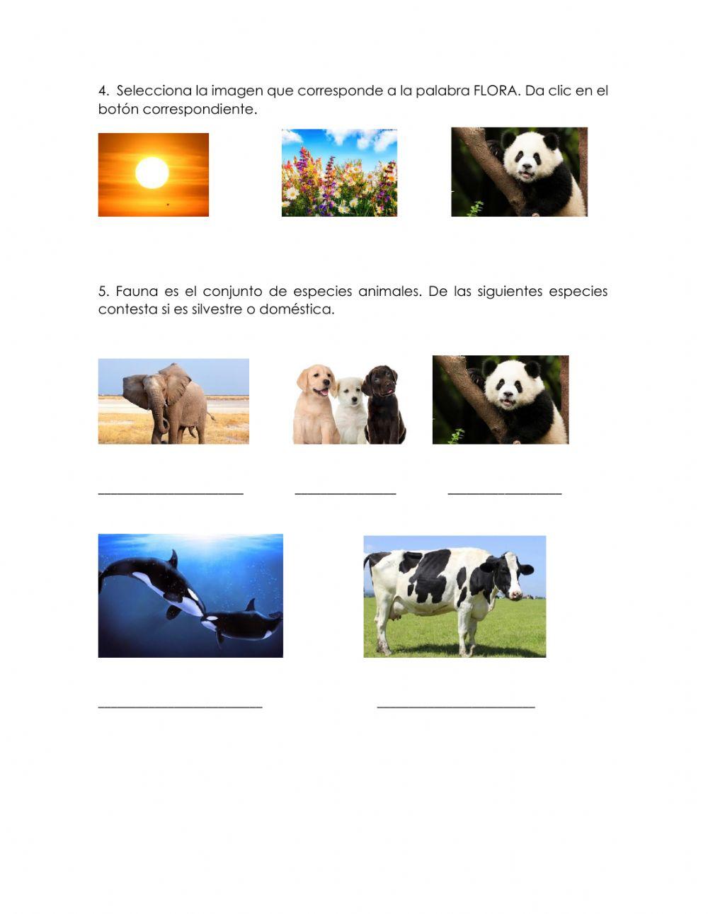 Seres abióticos y bióticos