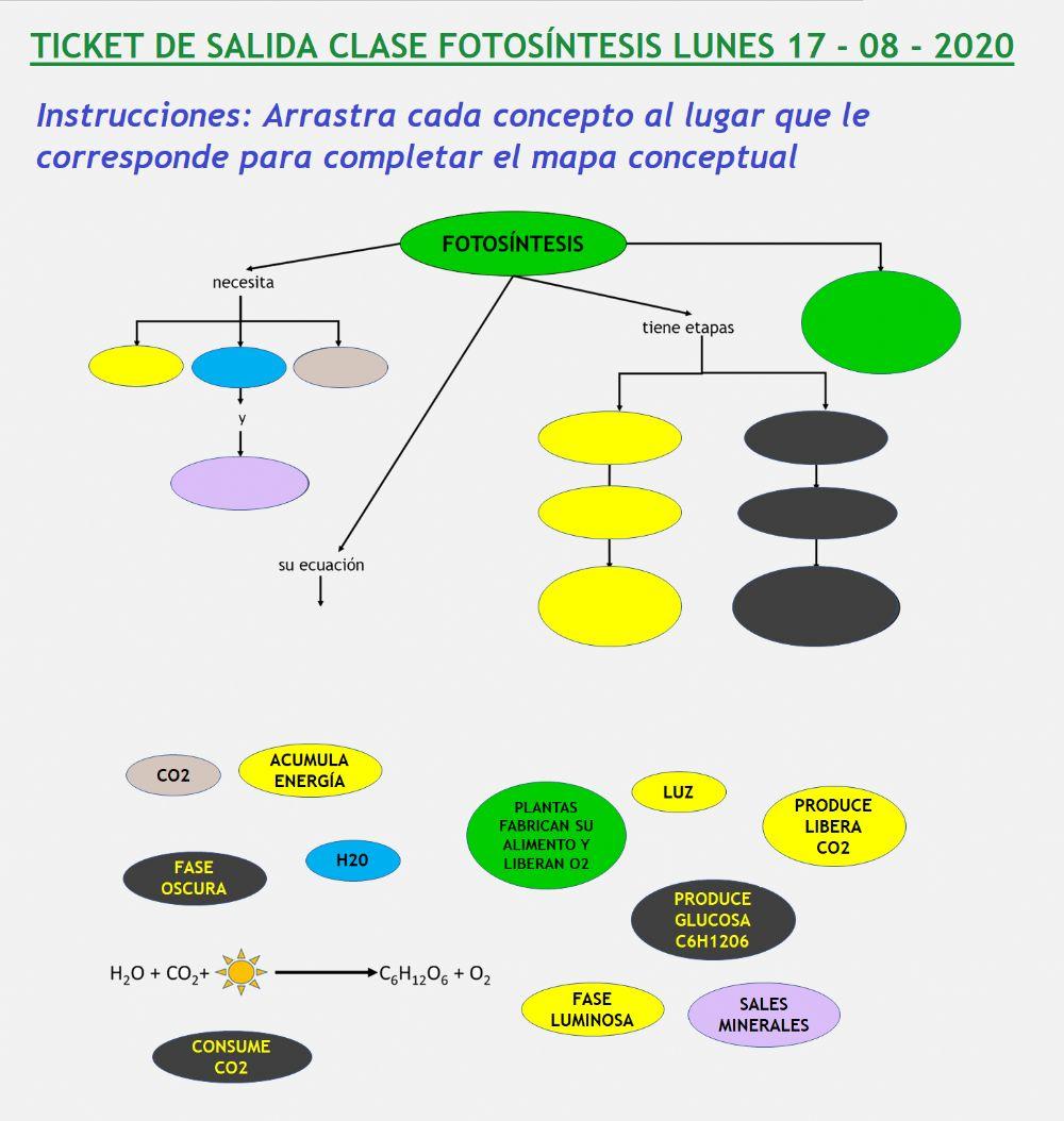 Ticket salida clase fotosíntesis