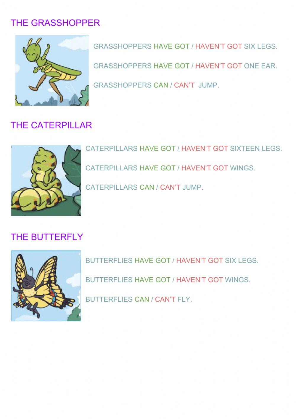 Cautious caterpillar