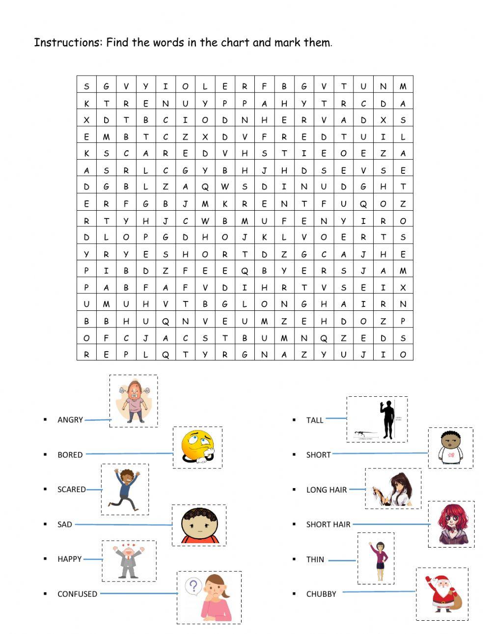 Physical appearance and emotions word search