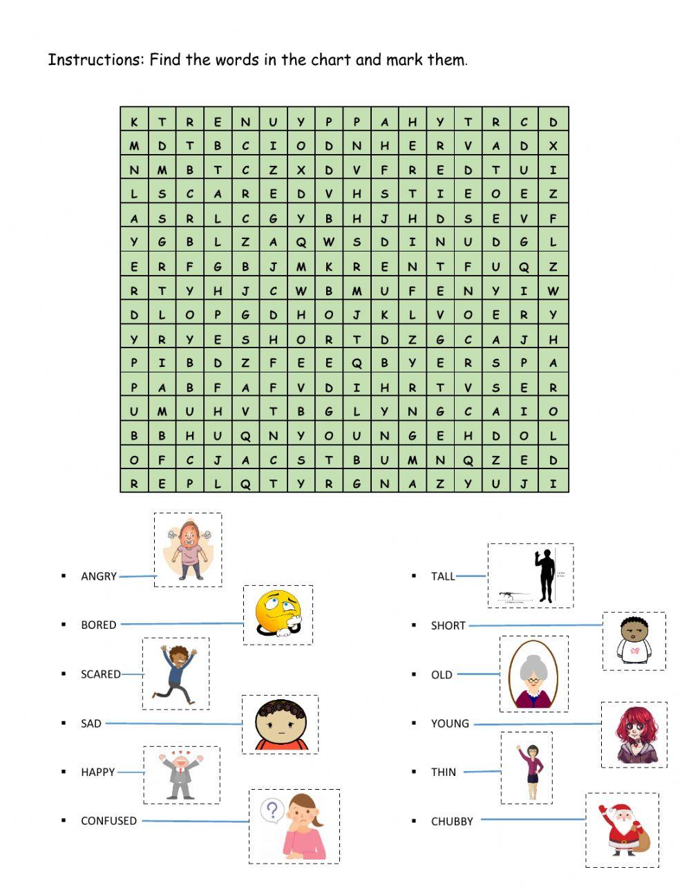 Physical appearance and emotions word search