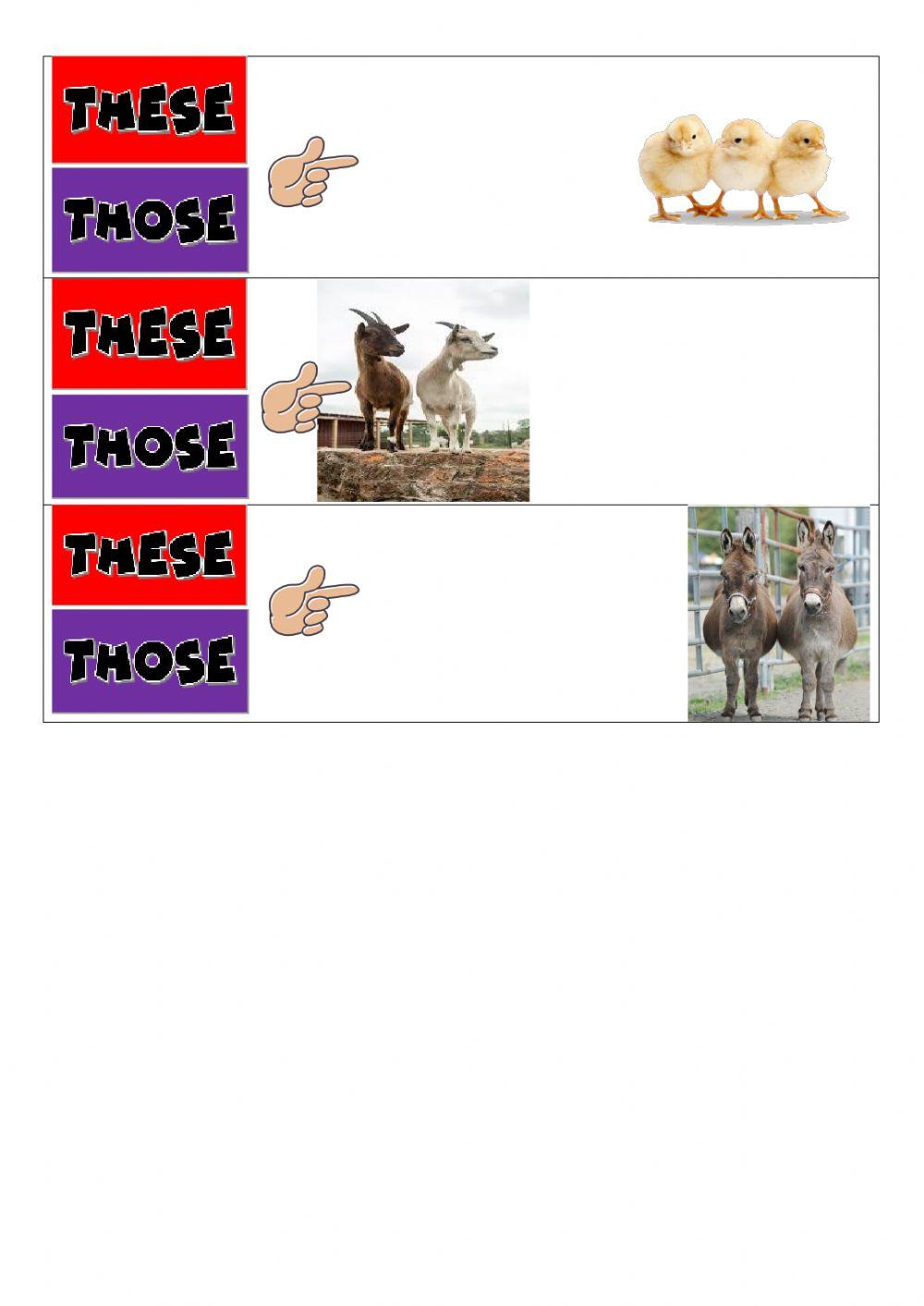 The demonstrative The demonstrative