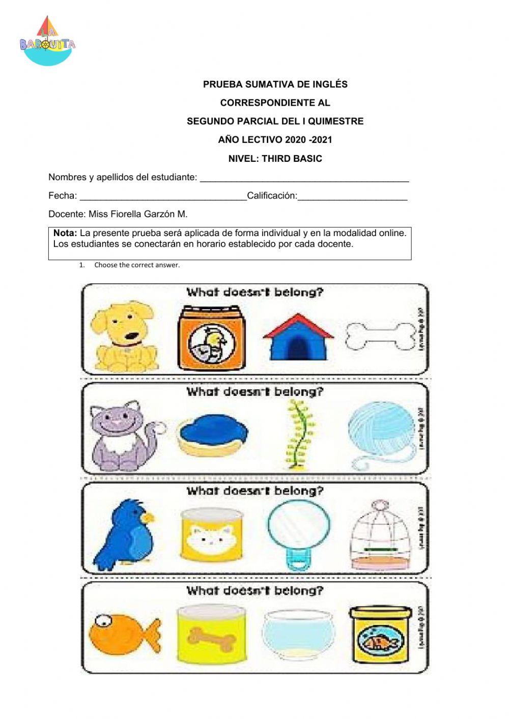 What doesnt belong? worksheet Live Worksheets
