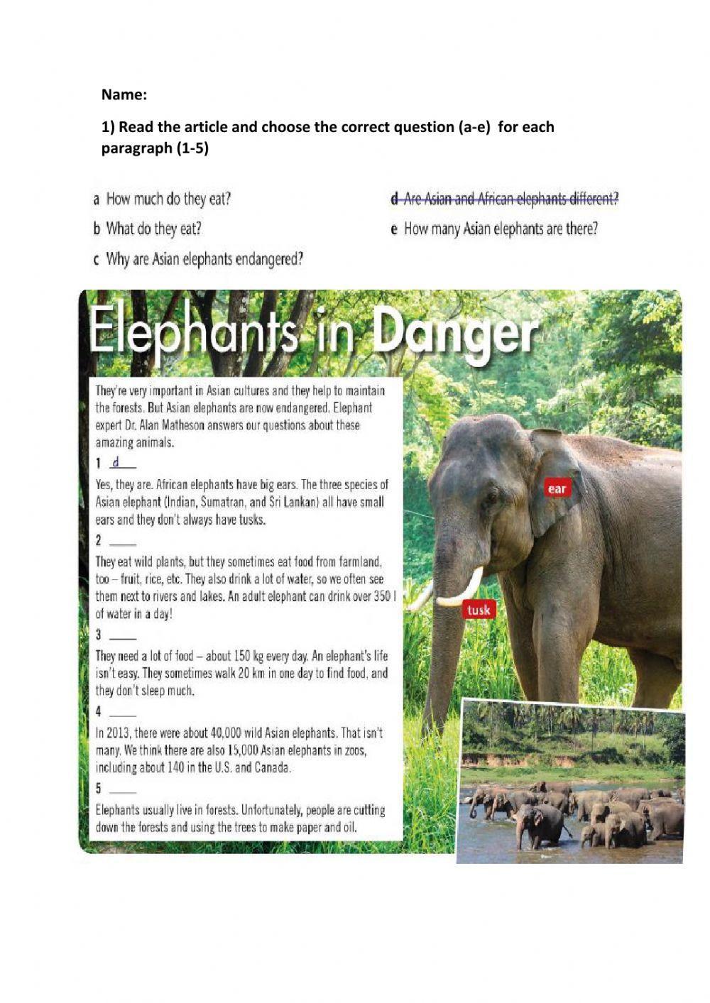Elephants in danger