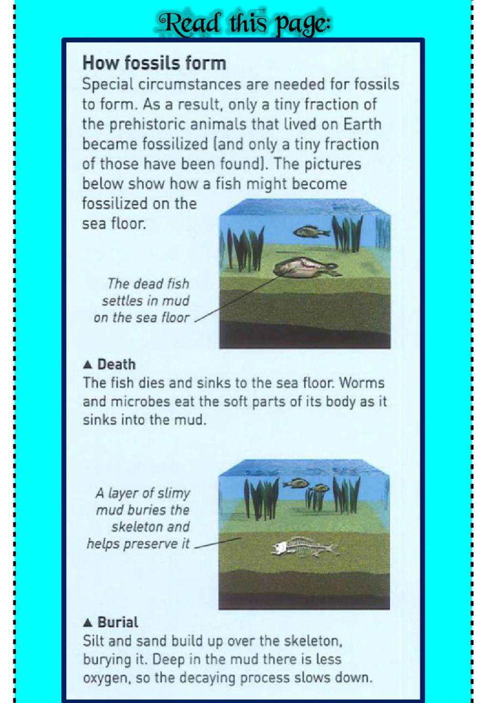 Week 25 - Geography - Fossils