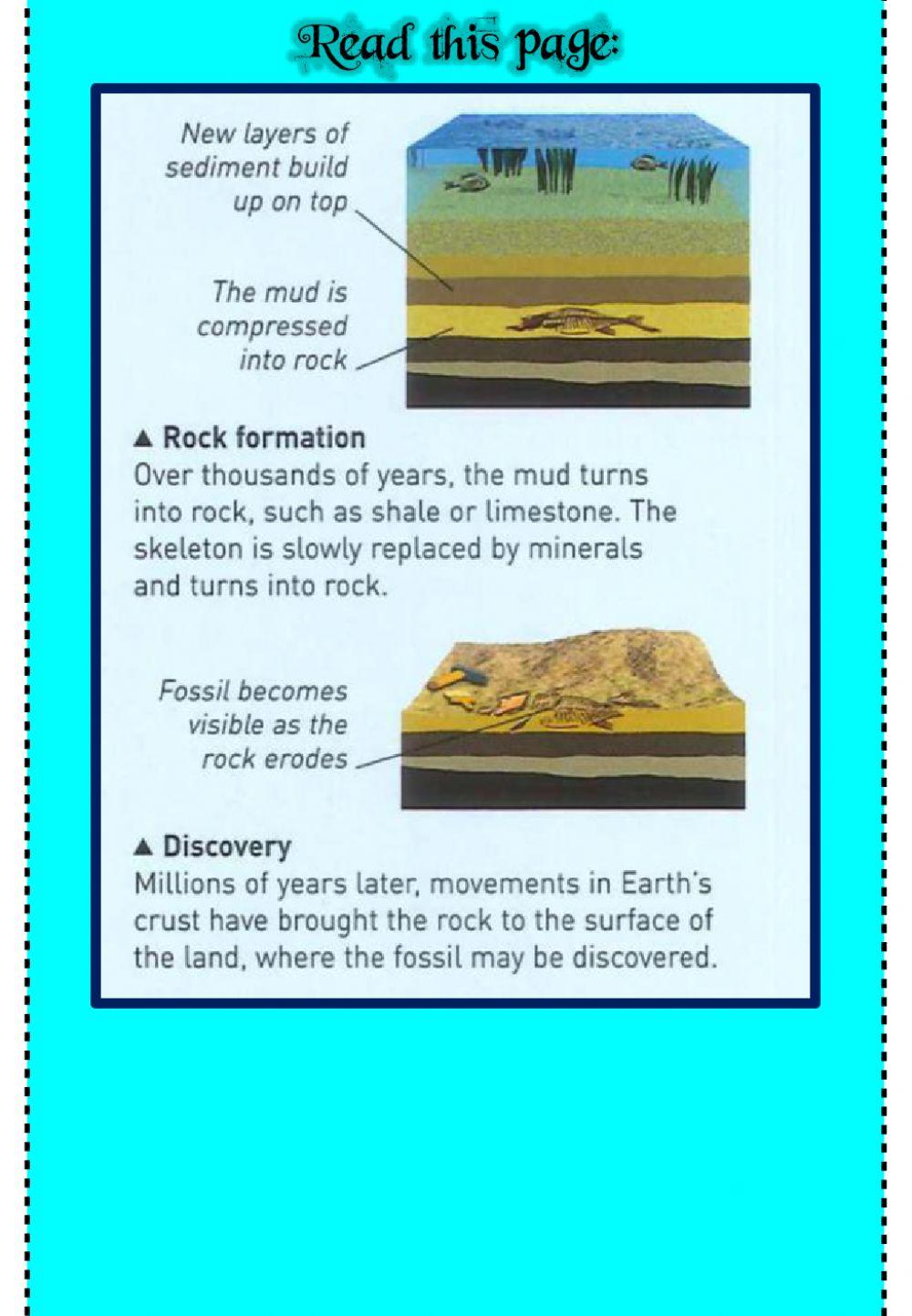 Week 25 - Geography - Fossils