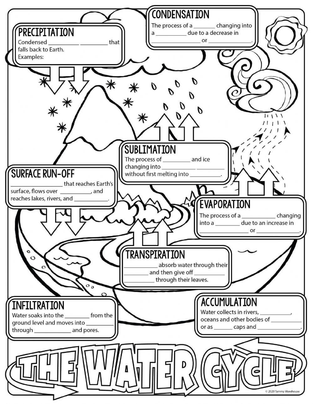 The Water Cycle Notes