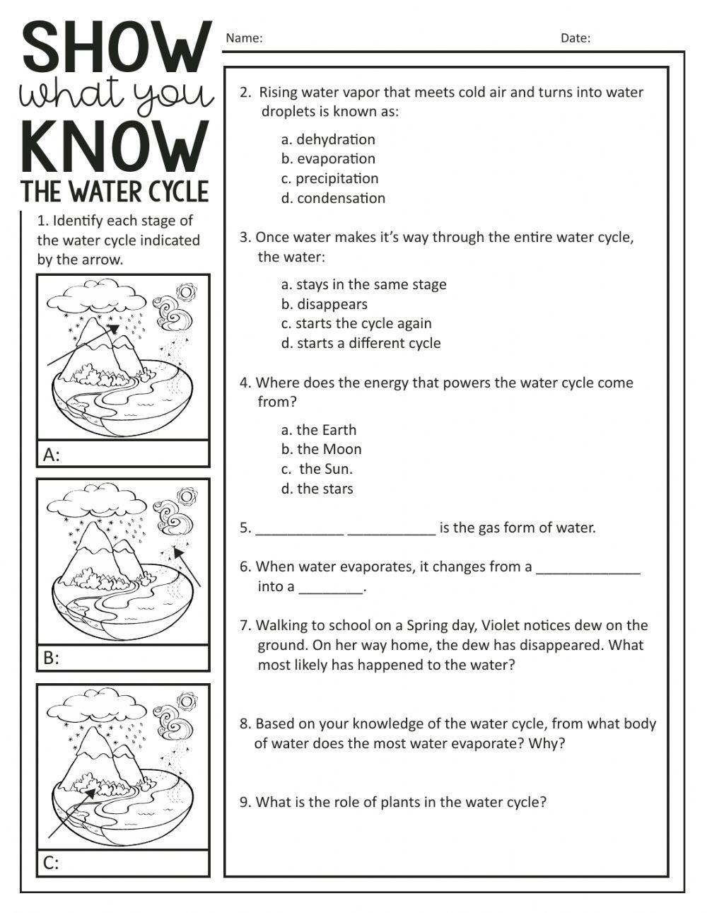 The Water Cycle Quiz worksheet Live Worksheets