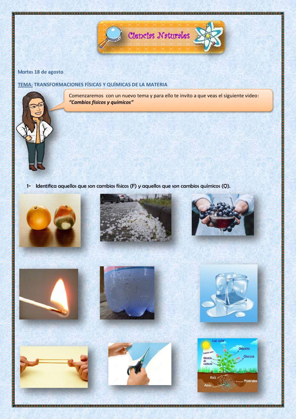 Transformacione… | Free Interactive Worksheets | 328592, image size:1000x1413