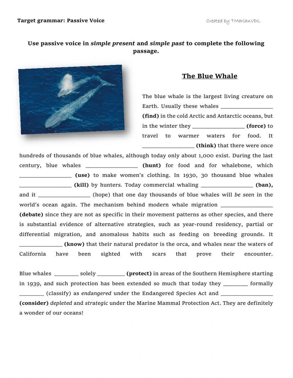Passive Voice: The Blue Whale Passive Voice: The Blue Whale
