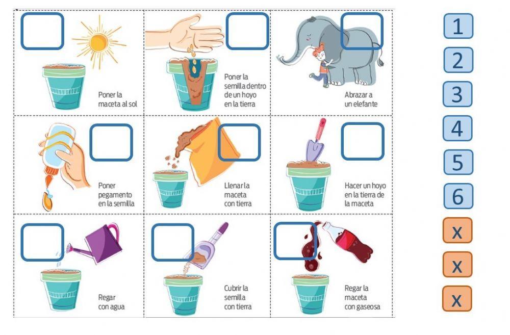 Ordenar el algoritmo con los pasos correctos