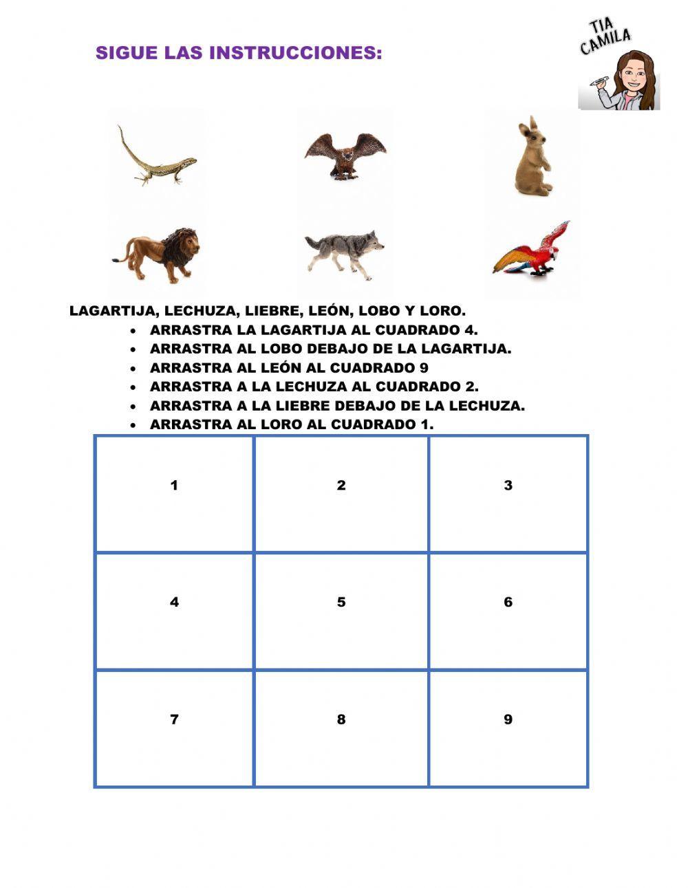 Seguimiento de instrucciones