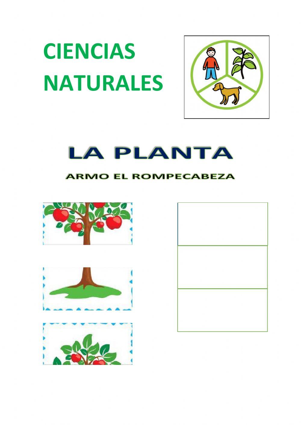 Rompecabezas de la planta