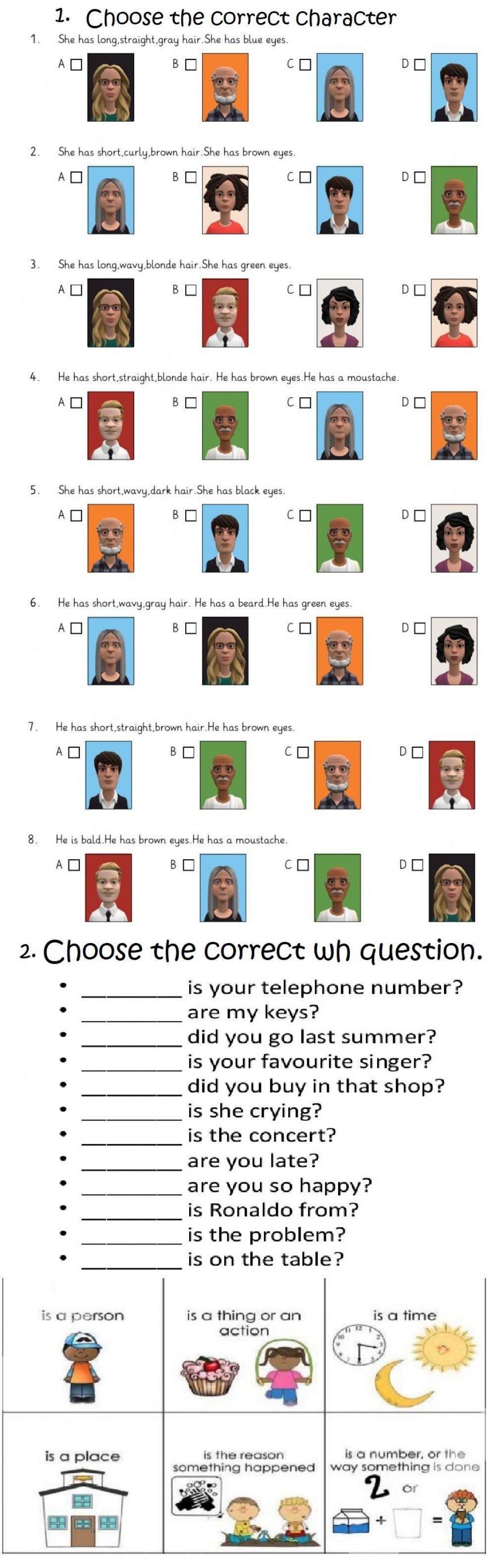 Wh questions and physical description