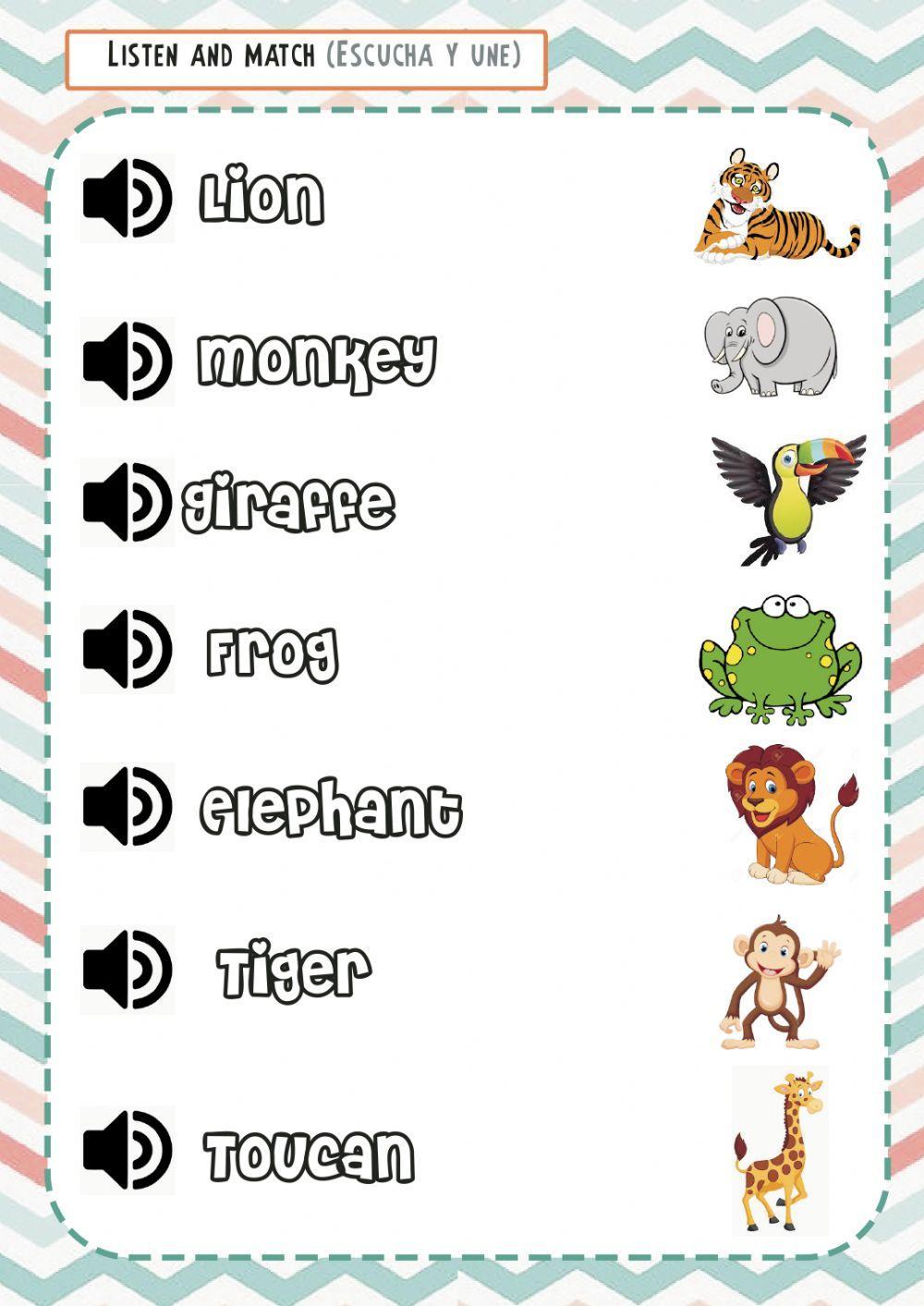 Animals Animals
