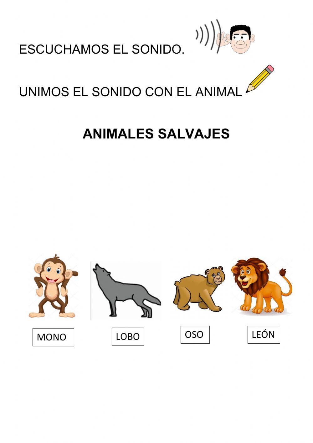 Animales salvajes - domésticos