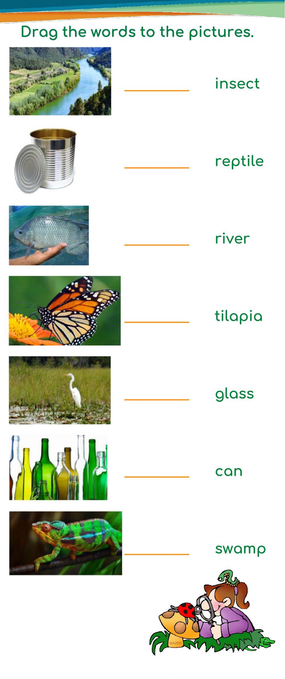 Visiting School - Gr. 5-6 Our Environment: Review 1