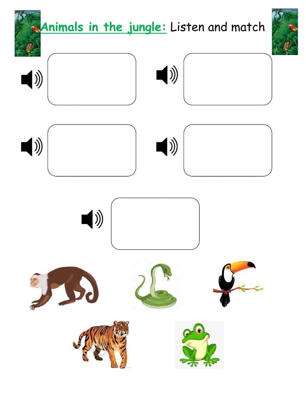 Animals in the jungle