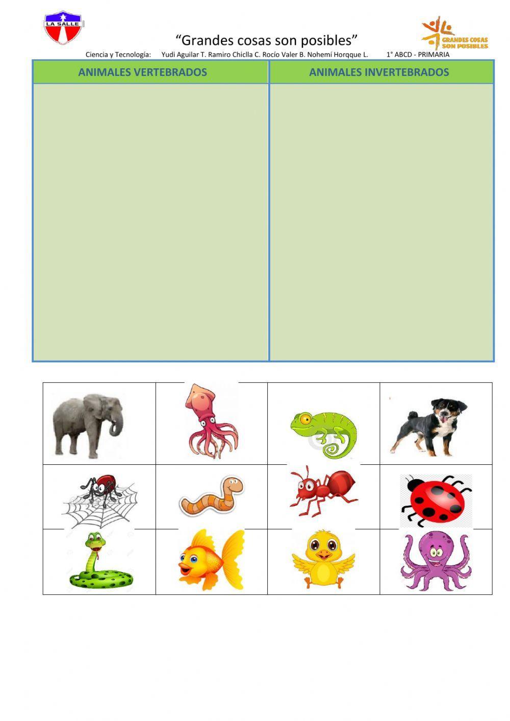 Clasificación de animales