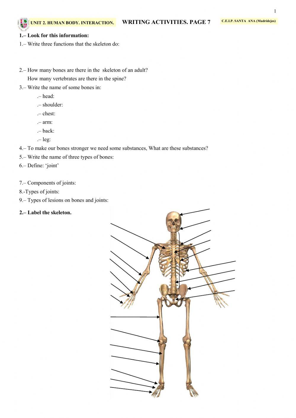 HUMAN BODY. INTERACTION. Page 7