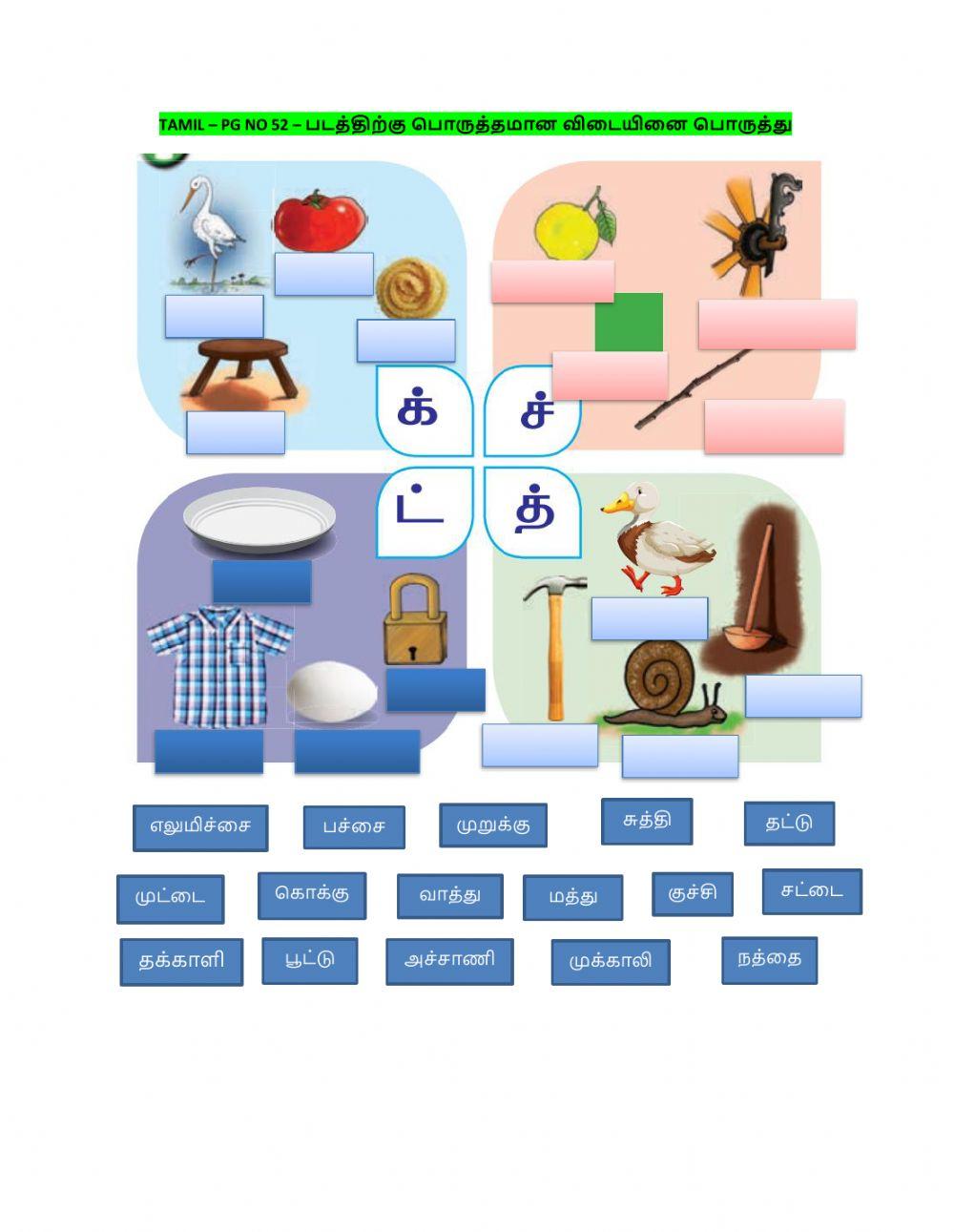 Tamil – pg no 52 – படத்திற்கு பொருத்தமான விடையினை பொருத்து