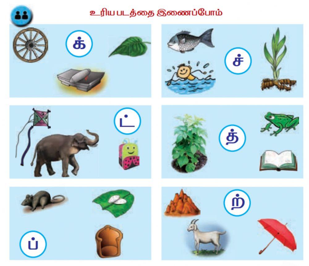 Tamil - எழுத்துக்கு பொருத்தமான புகைப்படத்துடன்  கோடிட்டு பொருத்து