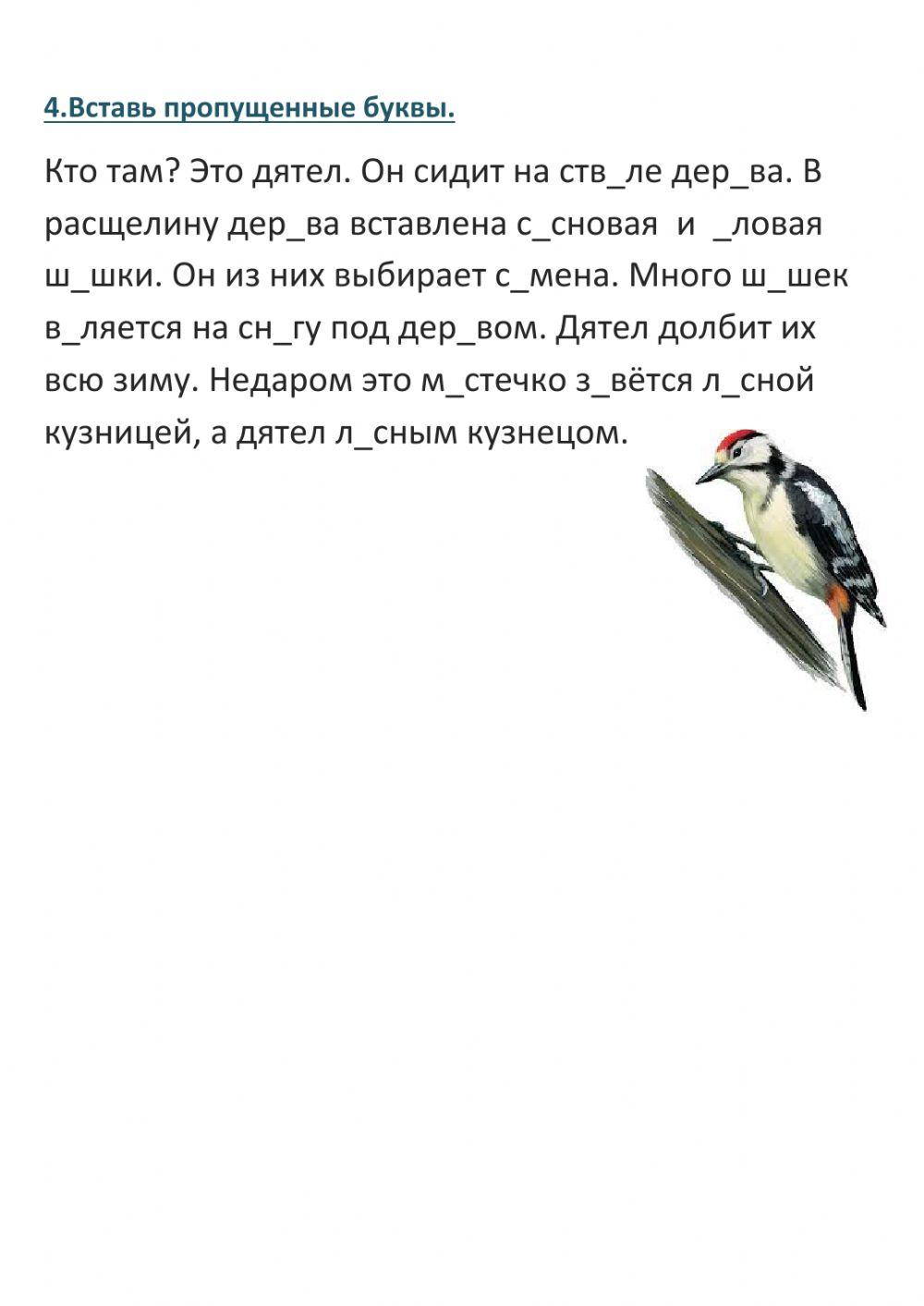 Повторение 4