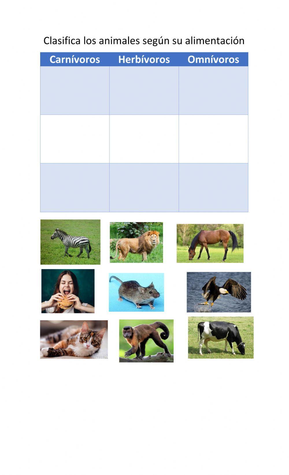 Alimentación de los animales