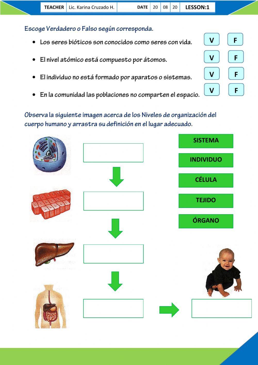 Organización biológica de los seres vivos