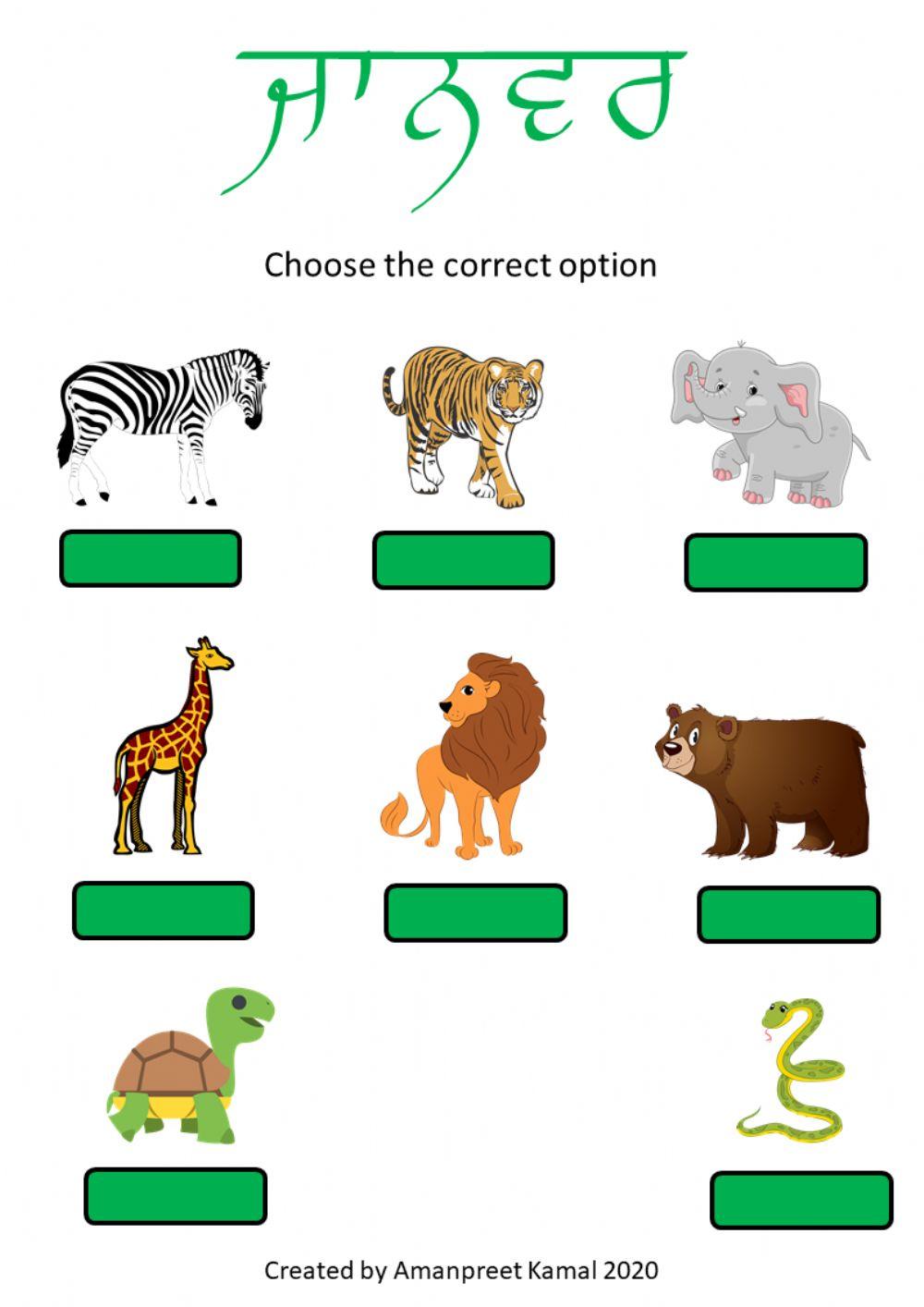 Animals - choose the correct option
