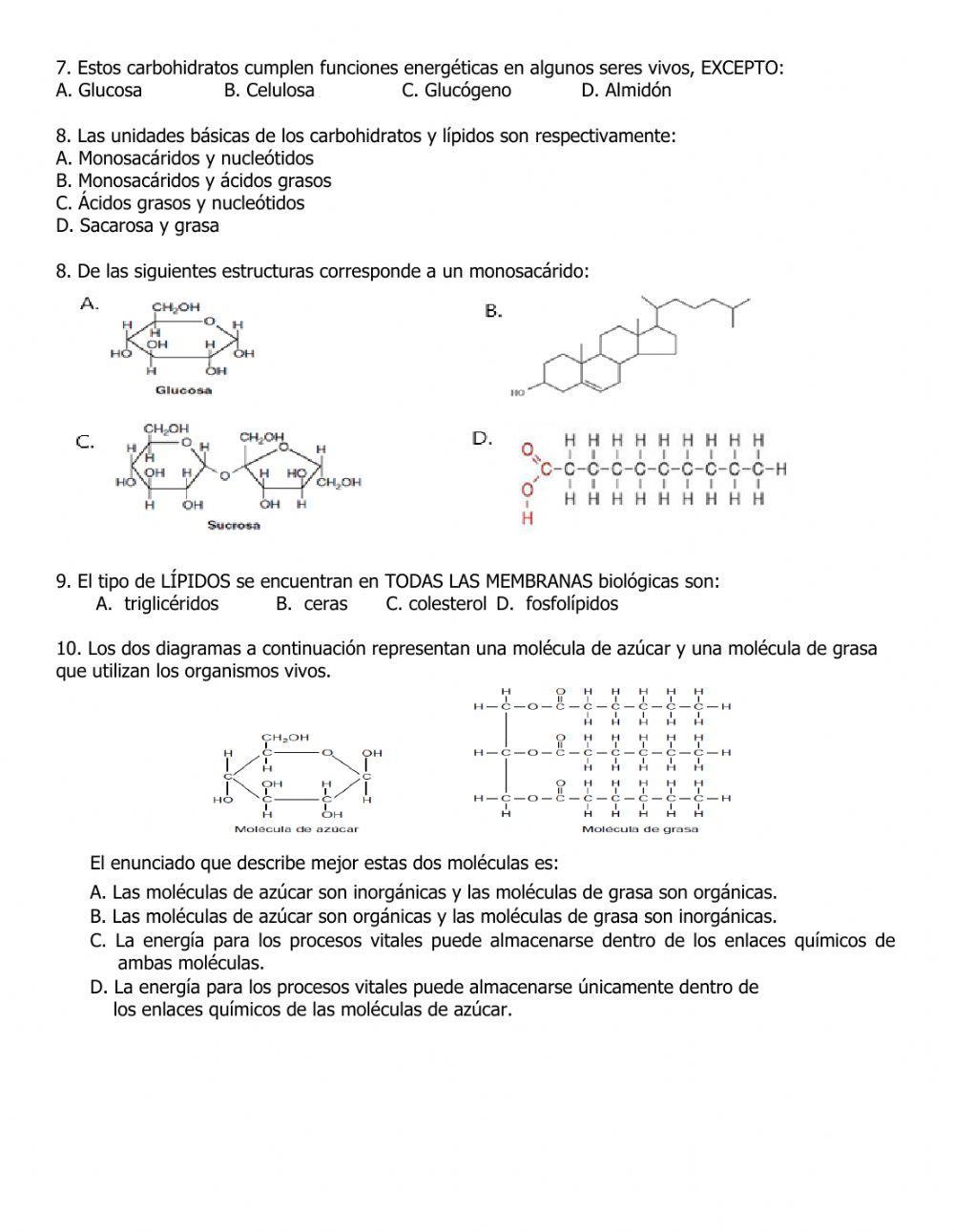 Biomoléculas parte 1