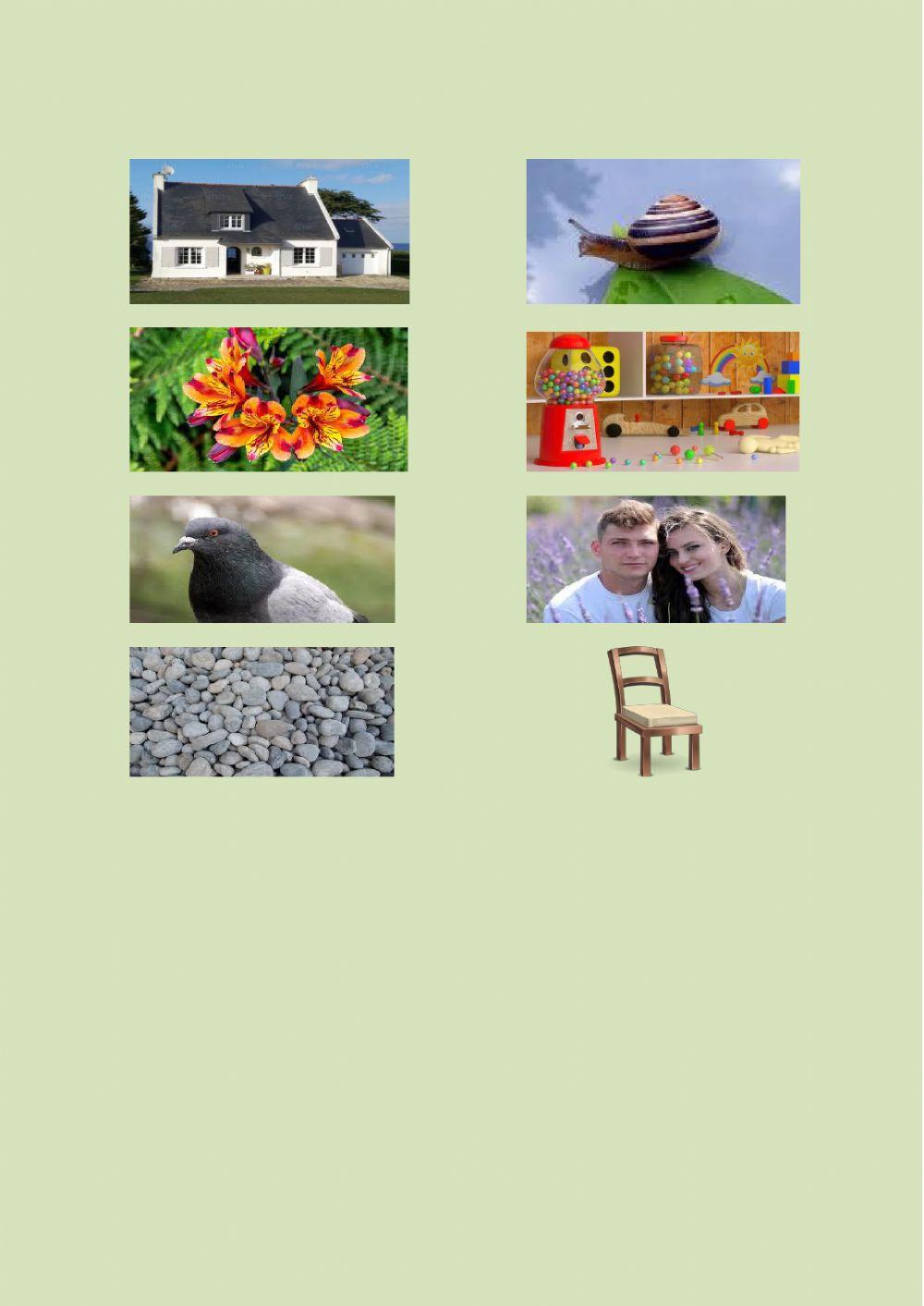 ESSERI VIVENTI E NON VIVENTI