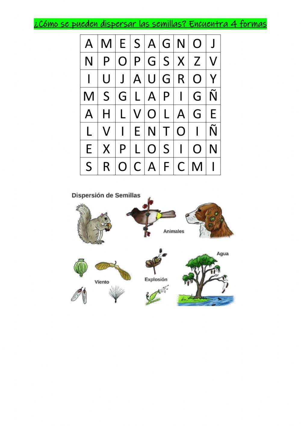 Semillas viajer… | Free Interactive Worksheets | 331248, image size:1000x1413