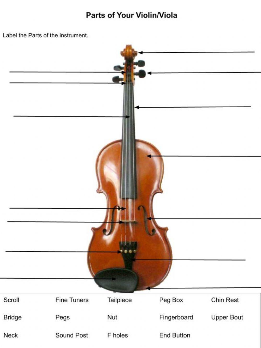 ViolinViola Instrument Parts worksheet Live Worksheets