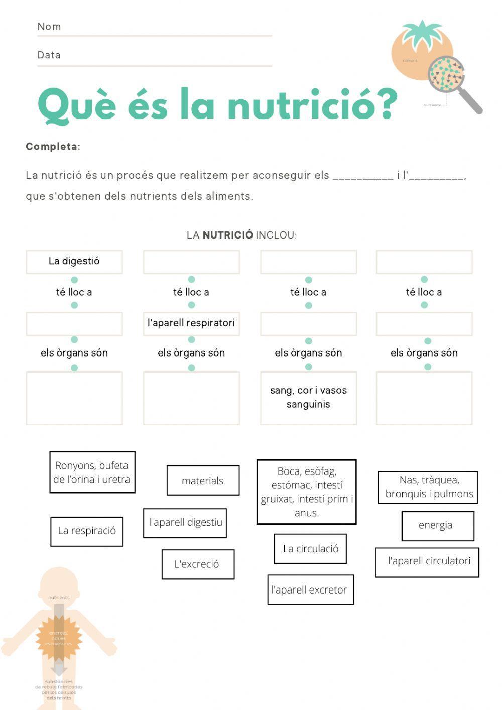 Què és la nutrició?