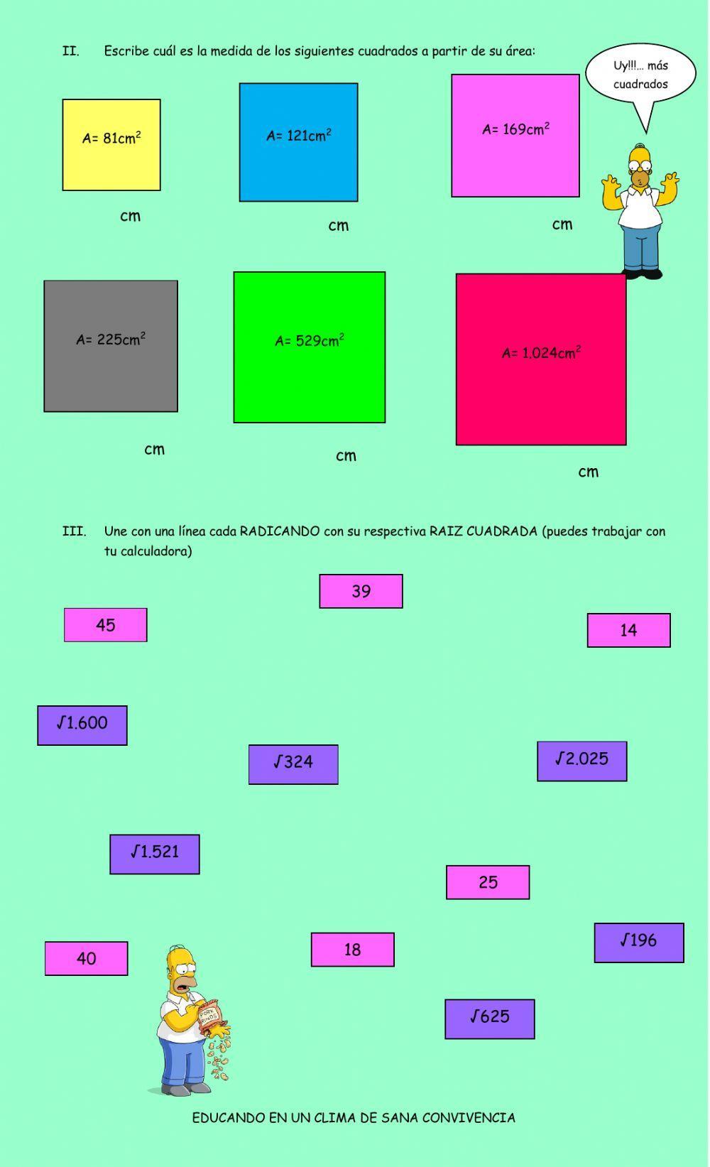 8vo-raíz cuadrada(2)