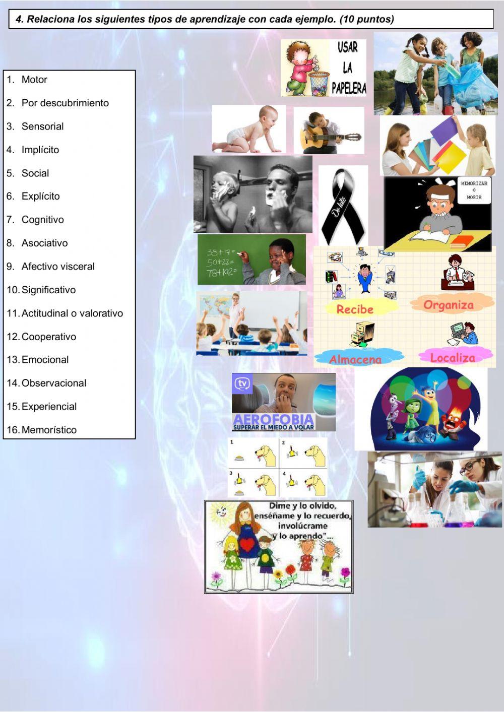 La memoria y el aprendizaje