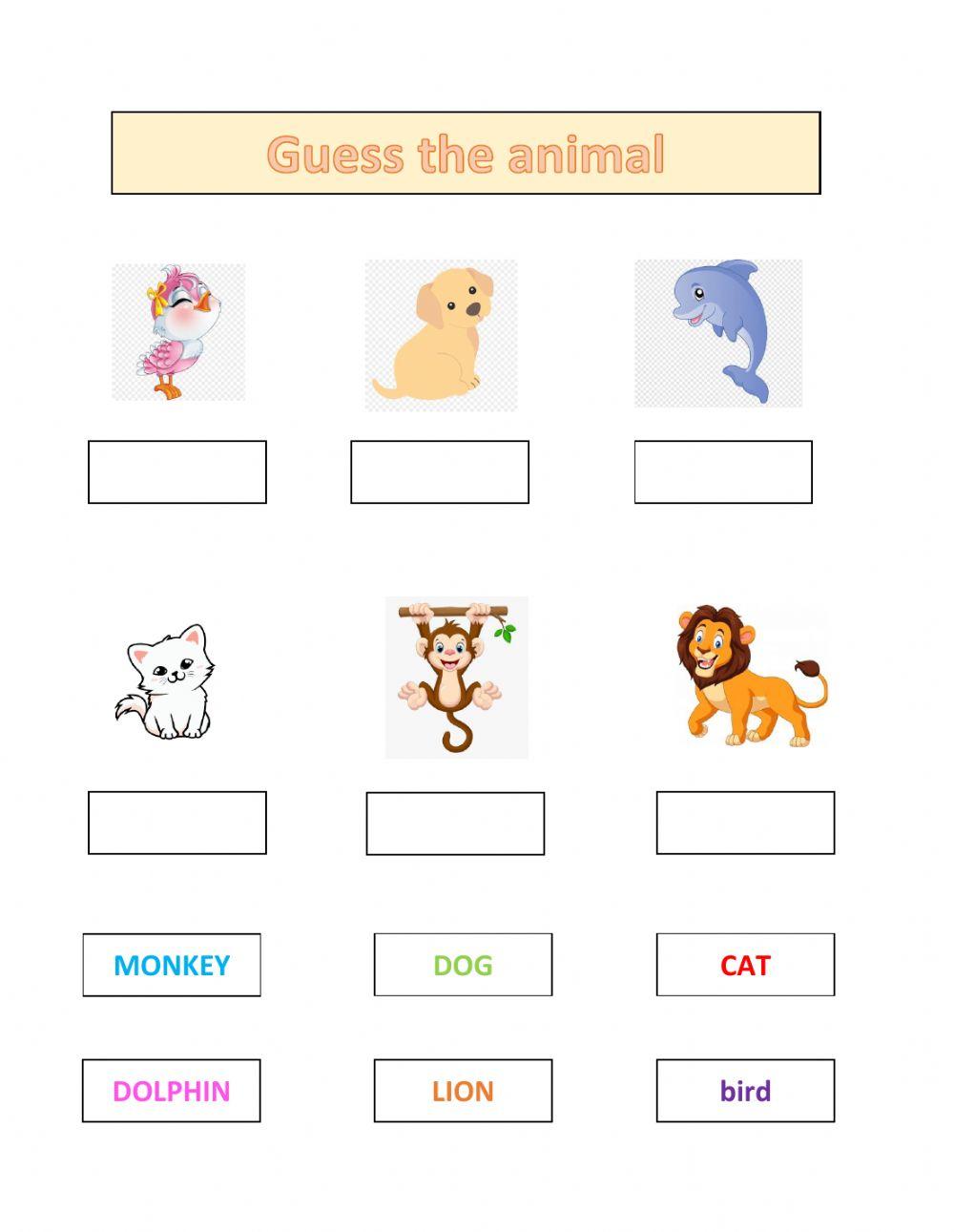 Guess The Animal 332992 Camille Mae Amil Canaleta